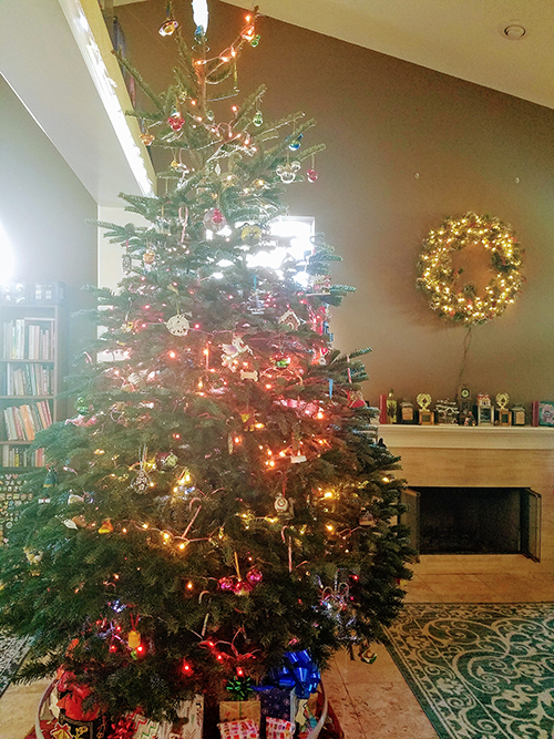 My family's large tree