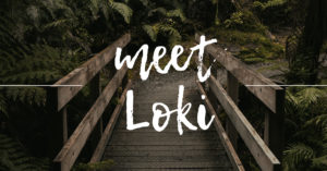 Read more about the article Writing Wednesday: Meet Loki