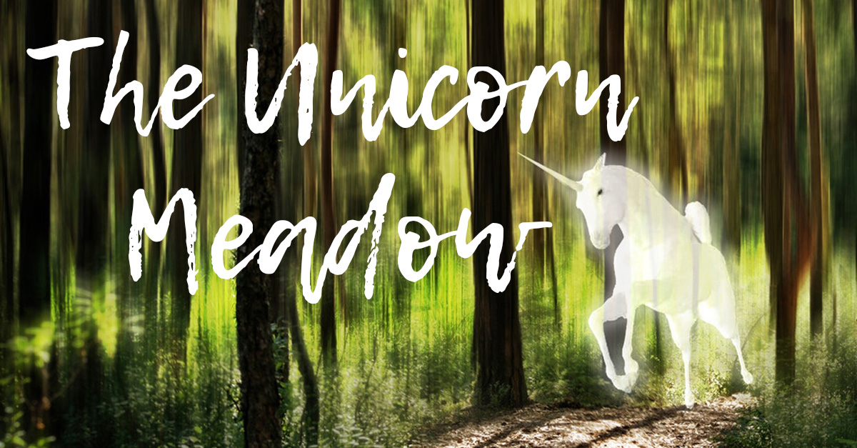 You are currently viewing Writing Wednesday: The Unicorn Meadow