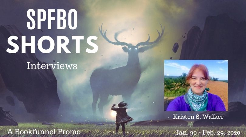 Read more about the article SPFBO Shorts Interview