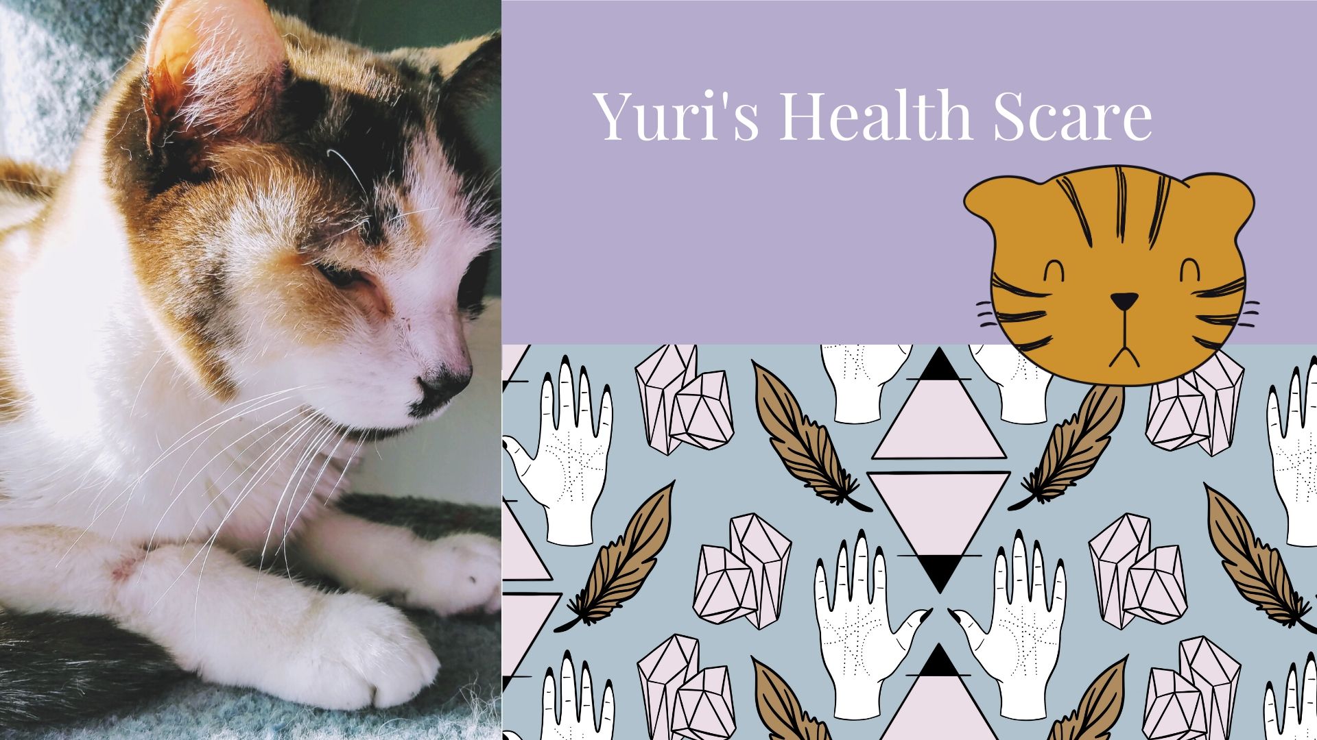 Read more about the article Yuri’s Health Scare