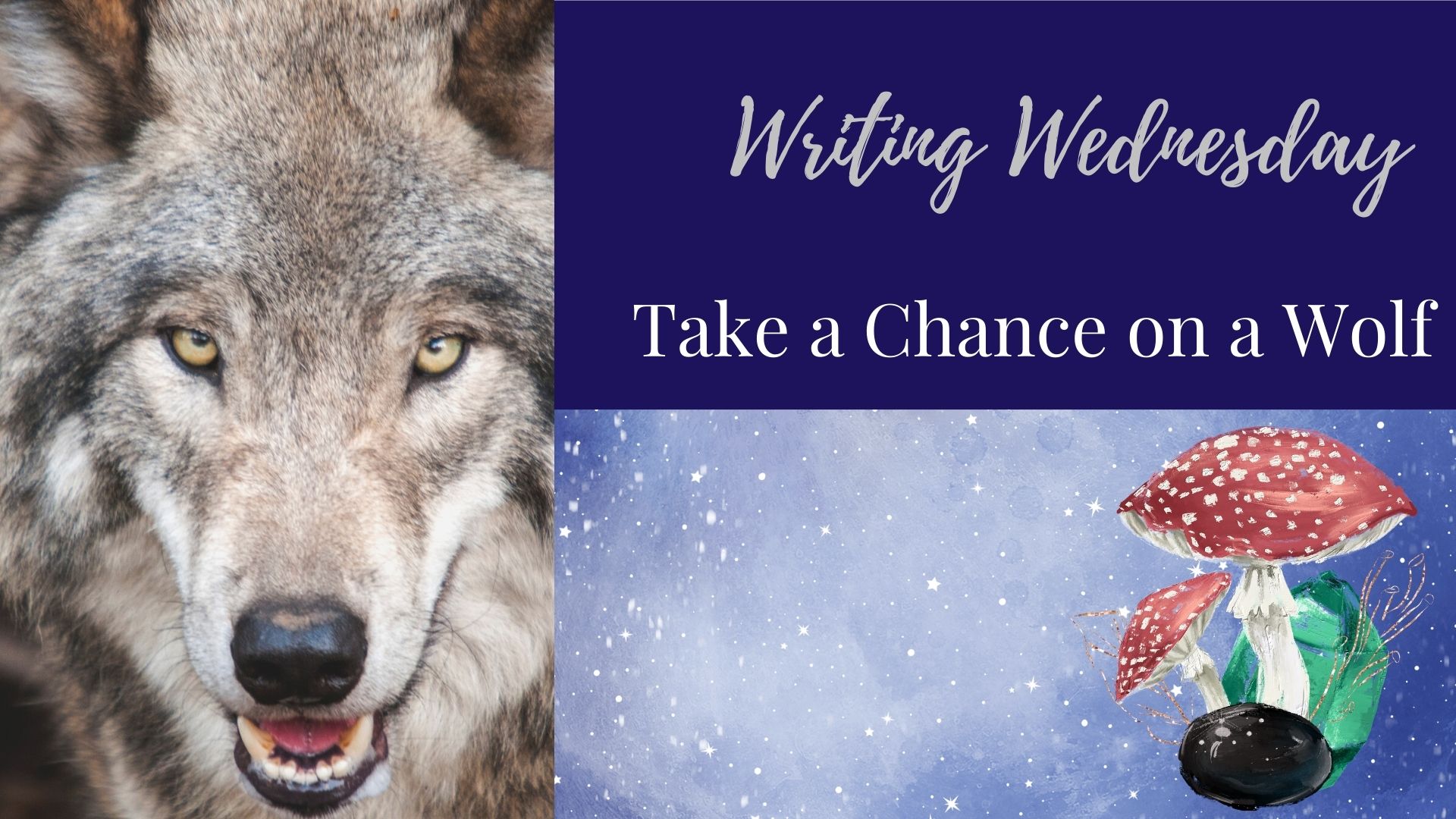 Read more about the article Writing Wednesday: Take a Chance on a Wolf