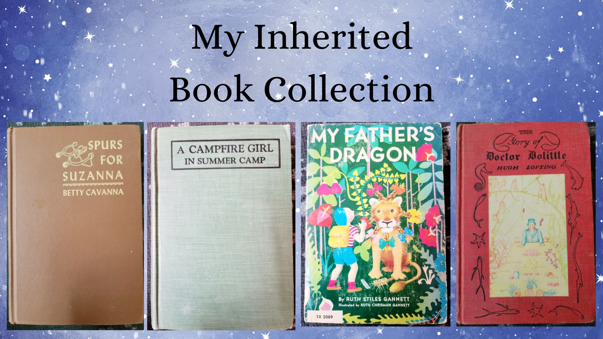 Read more about the article My Inherited Book Collection