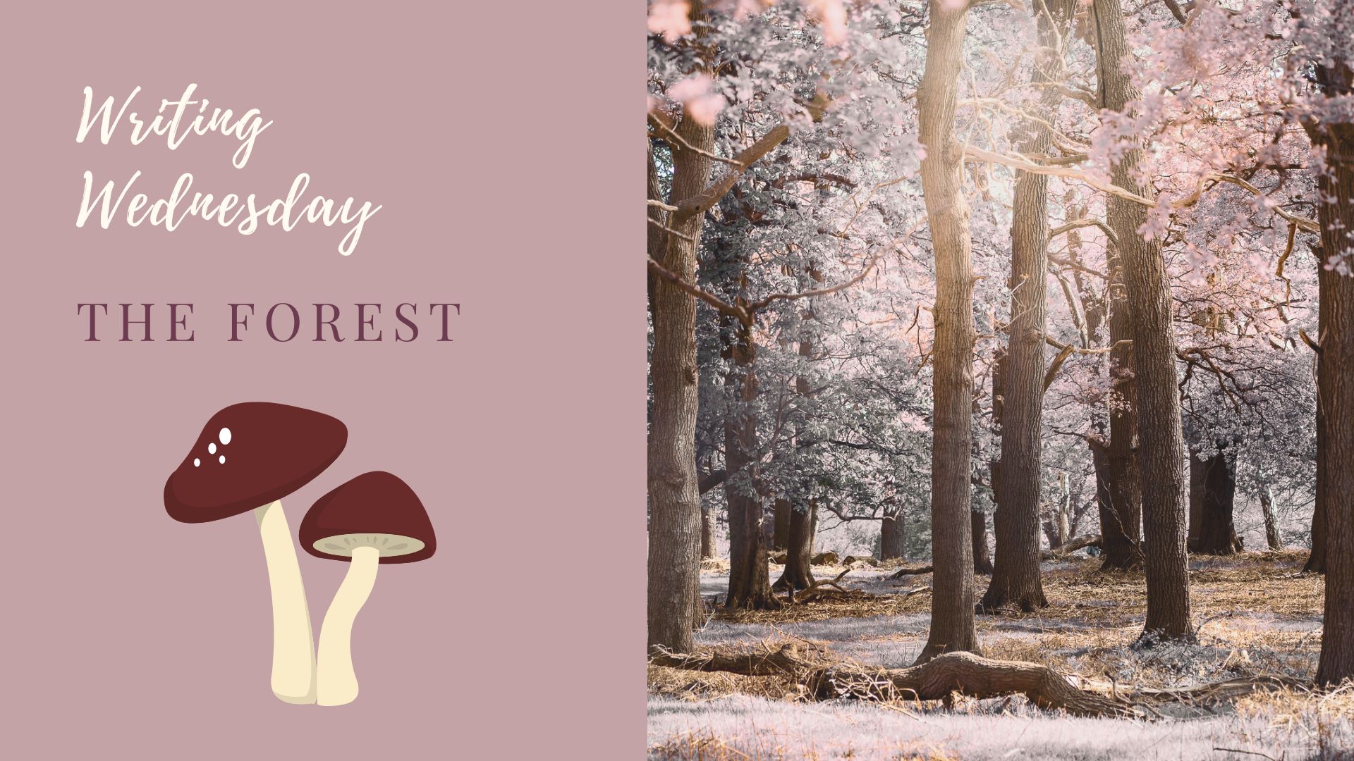 You are currently viewing Writing Wednesday: The Forest