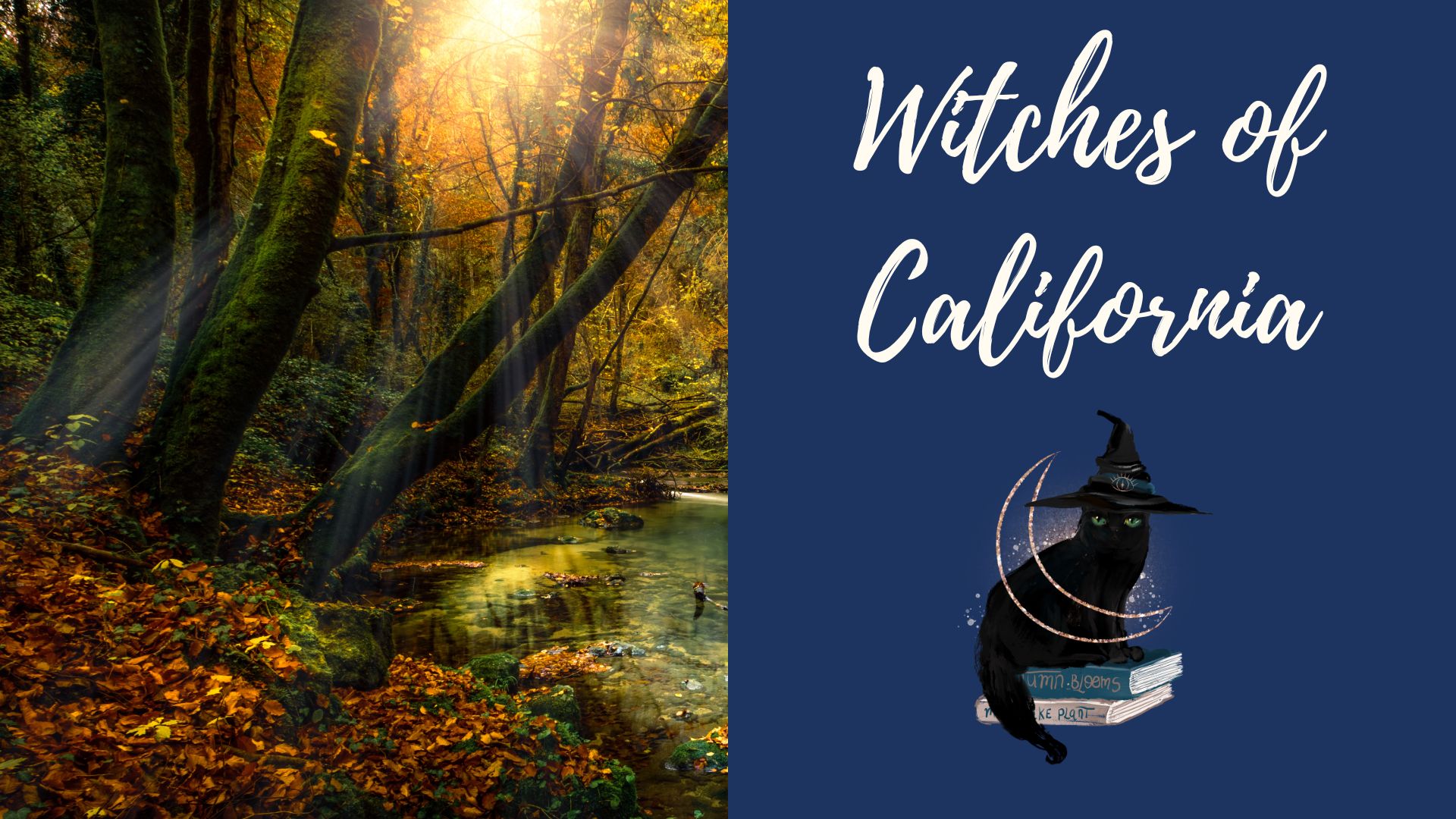 You are currently viewing Announcing the Witches of California